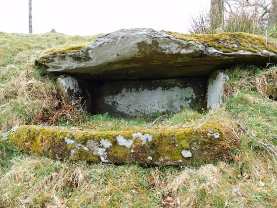 Bruach na Cuirte (Cist)