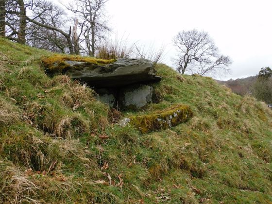 Bruach na Cuirte (Cist)