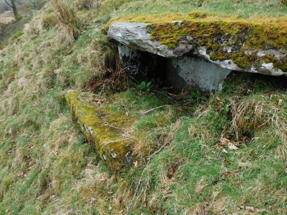 Bruach na Cuirte (Cist)