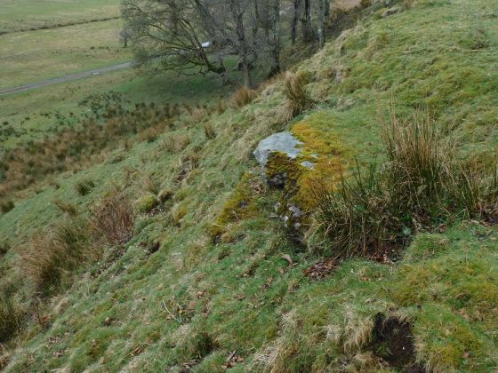 Bruach na Cuirte (Cist)