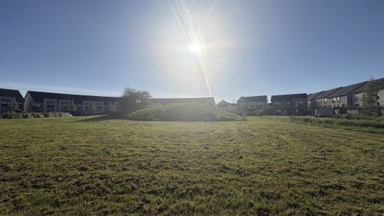 Drumnigh (Artificial Mound)