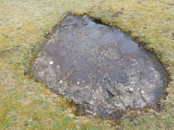 Ballygowan (Cup and Ring Marks / Rock Art)