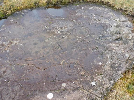 Ballygowan (Cup and Ring Marks / Rock Art)