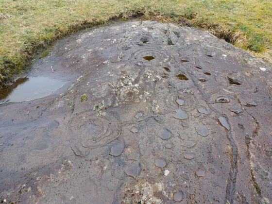 Ballygowan (Cup and Ring Marks / Rock Art)