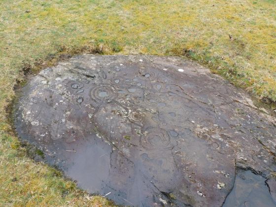 Ballygowan (Cup and Ring Marks / Rock Art)