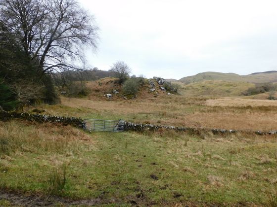 Ballygowan (Hillfort)
