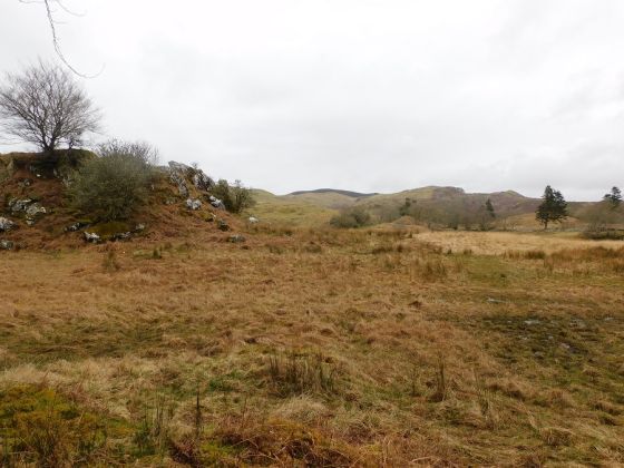 Ballygowan (Hillfort)