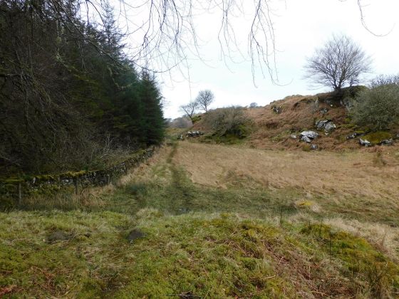 Ballygowan (Hillfort)