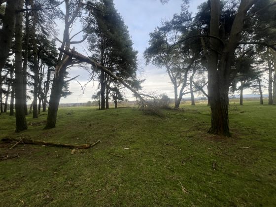 Braveheart Hill Barrow (Round Barrow)