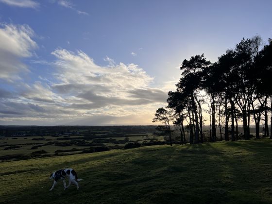 Braveheart Hill Barrow (Round Barrow)