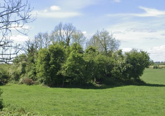 Clonaglin (Round Barrow(s))