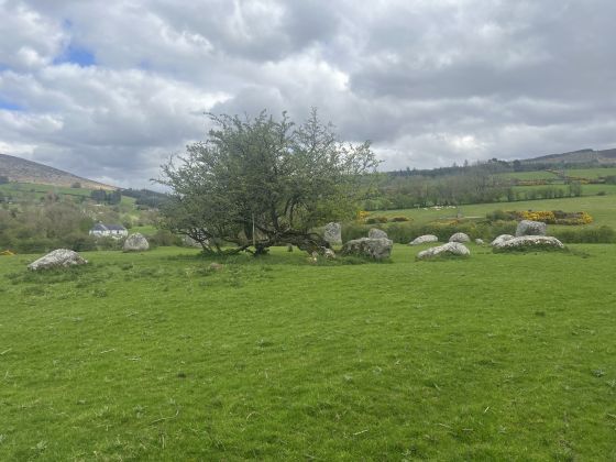 Athgreany (Stone Circle)