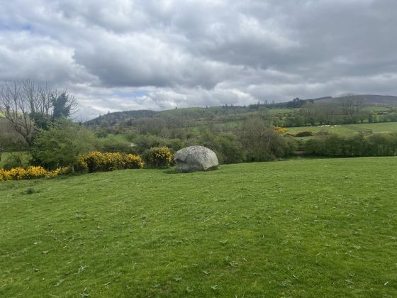 Athgreany (Stone Circle)