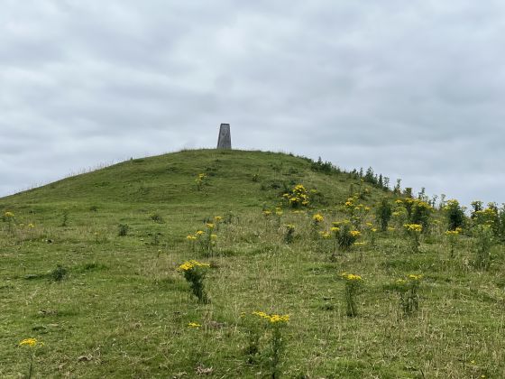 Croghan Hill (Artificial Mound)