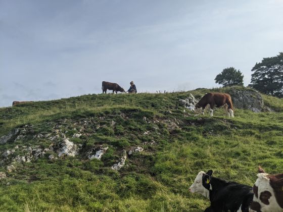 Stand Low (Bank Barrow)