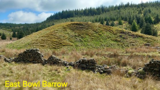 Brown Hills Beck Barrow East (Round Barrow(s))
