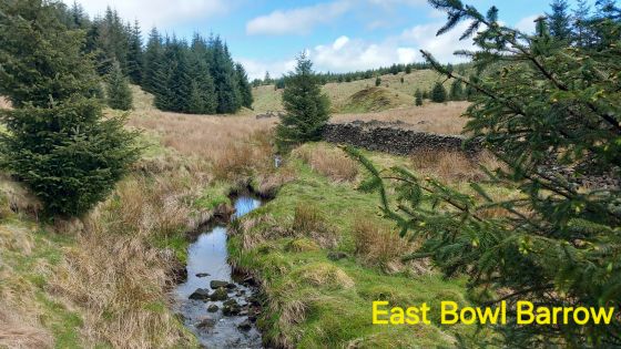 Brown Hills Beck Barrow East (Round Barrow(s))