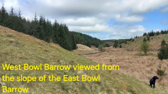 Brown Hills Beck Barrow East (Round Barrow(s))