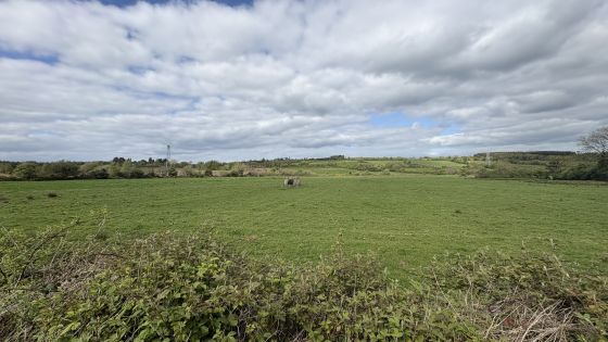 Birrinagh (Portal Tomb)