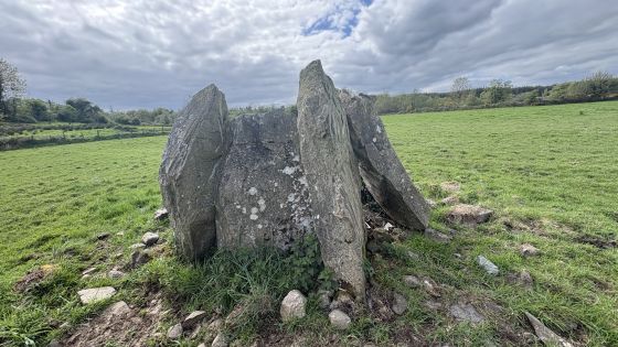 Birrinagh (Portal Tomb)