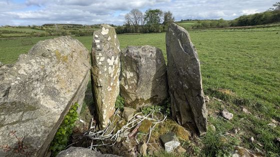 Birrinagh (Portal Tomb)