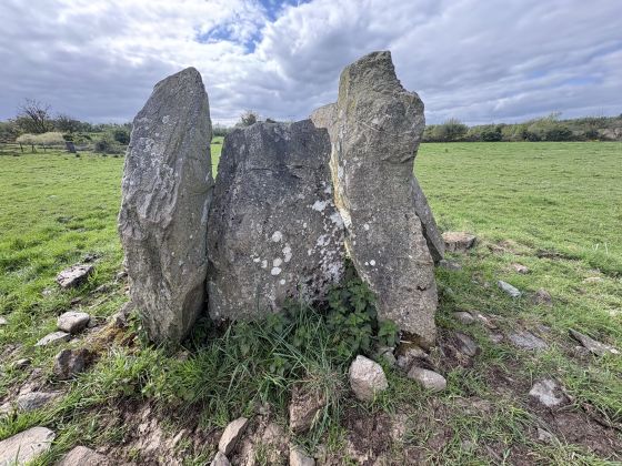 Birrinagh (Portal Tomb)