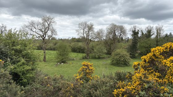 Drumhart (Chambered Tomb)