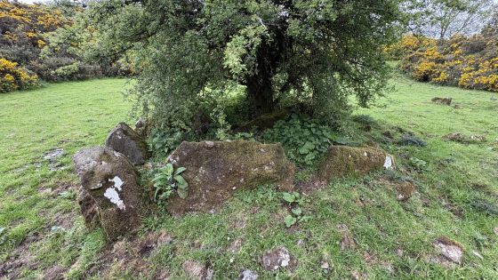 Drumhart (Chambered Tomb)