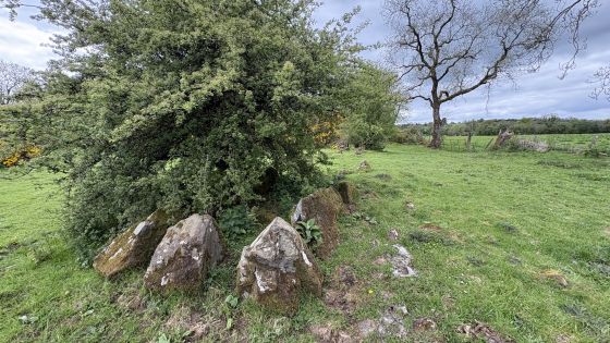 Drumhart (Chambered Tomb)