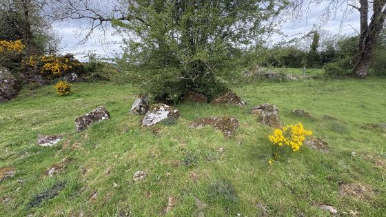 Drumhart (Chambered Tomb)