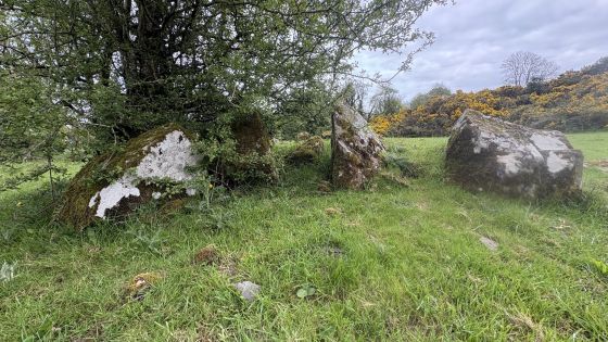 Drumhart (Chambered Tomb)