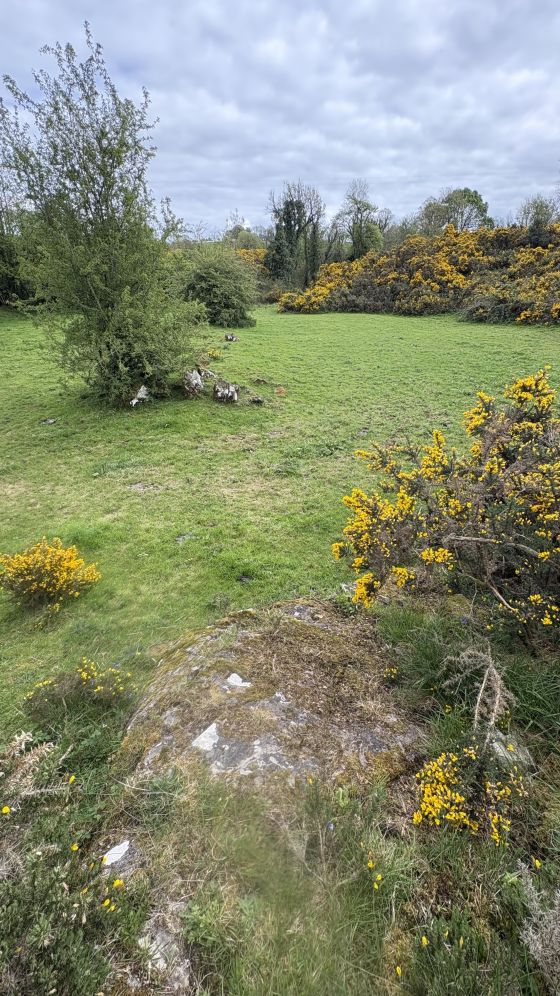 Drumhart (Chambered Tomb)