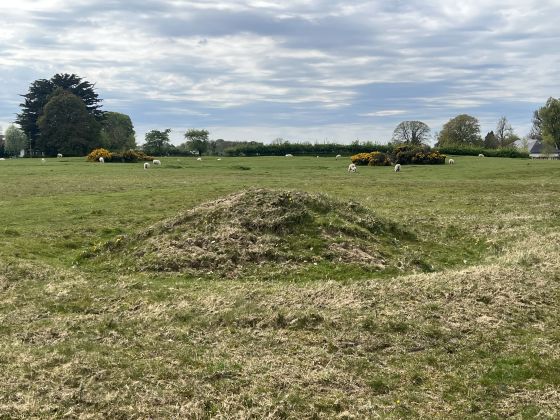 Curragh Bowl Barrows