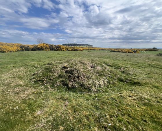 Curragh Bowl Barrows
