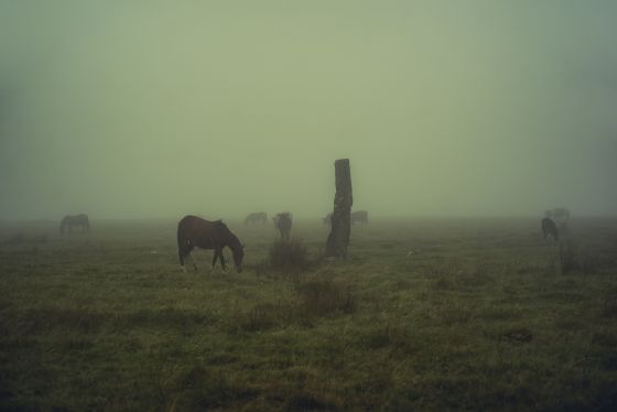 Langstone Moor Stone Row