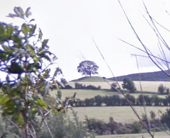 Butterhill Barrow (Round Barrow)