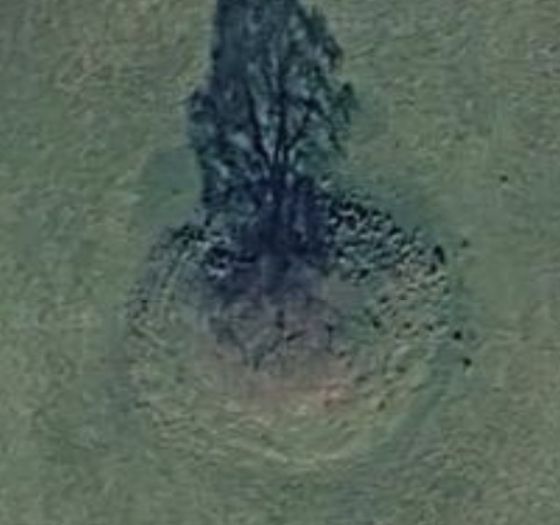 Butterhill Barrow (Round Barrow)