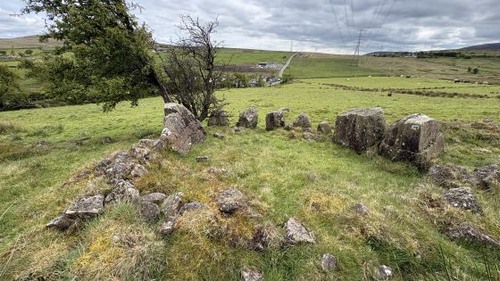Ballyutoag (Court Tomb)