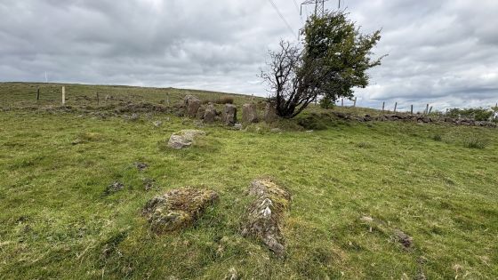 Ballyutoag (Court Tomb)