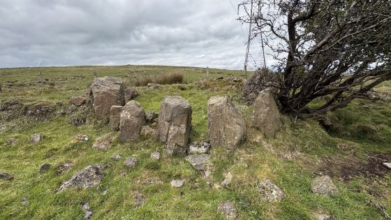 Ballyutoag (Court Tomb)
