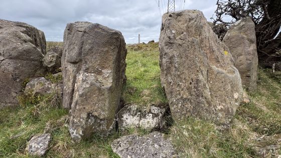 Ballyutoag (Court Tomb)