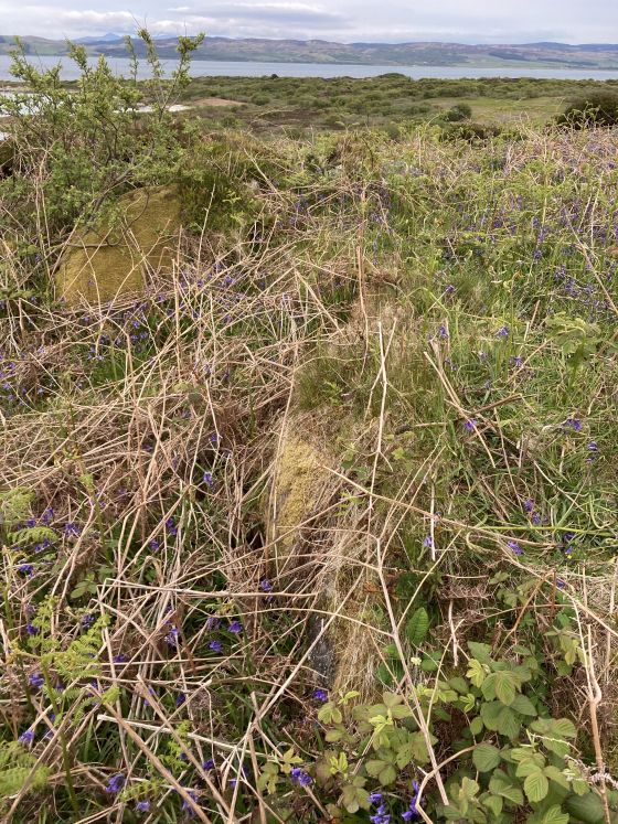 Cnoc an Itich (Ancient Village / Settlement / Misc. Earthwork)