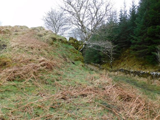 Ballygowan (Hillfort)