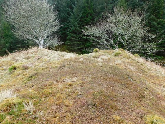 Ballygowan (Hillfort)
