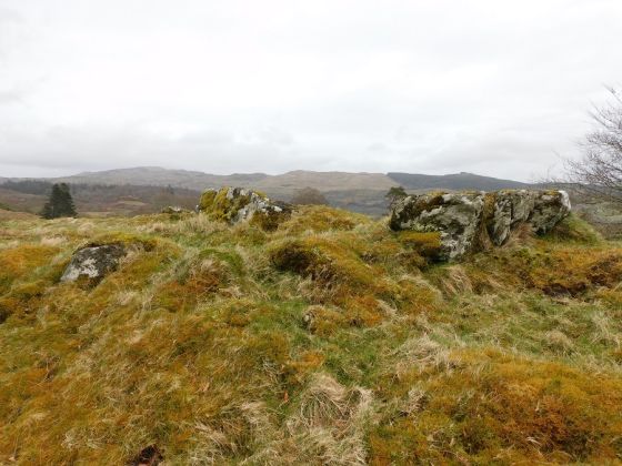Ballygowan (Hillfort)