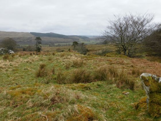 Ballygowan (Hillfort)