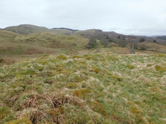 Ballygowan (Hillfort)