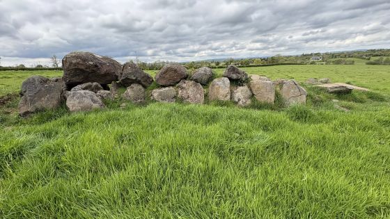 Craigarogan (Passage Grave)