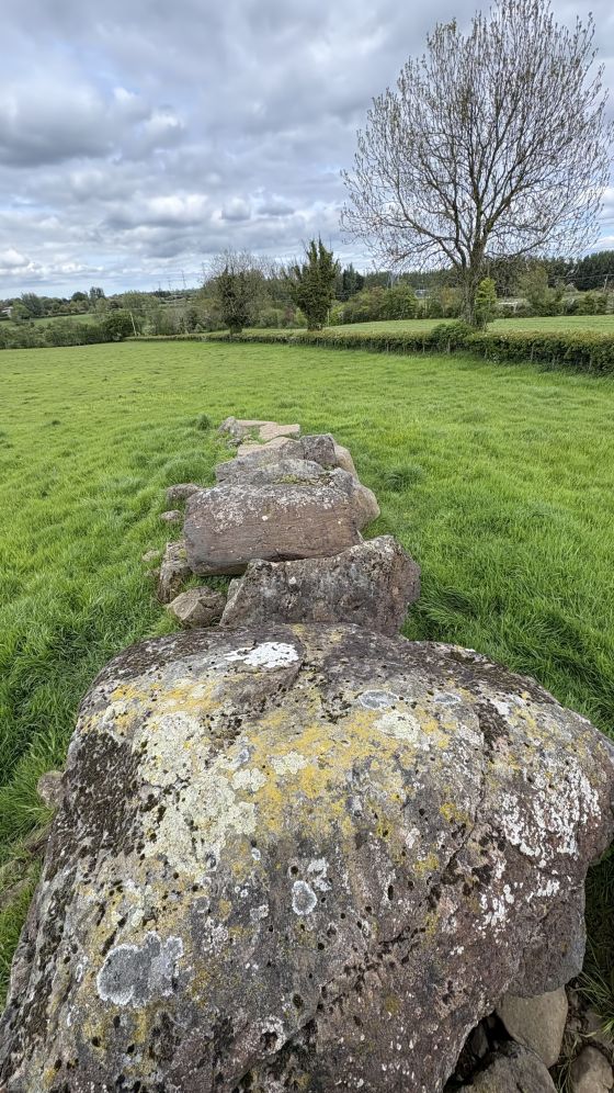 Craigarogan (Passage Grave)