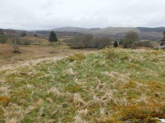 Ballygowan (Hillfort)